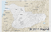 Classic Style 3D Map of Douglas County