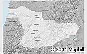 Gray 3D Map of Douglas County