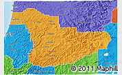 Political 3D Map of Douglas County
