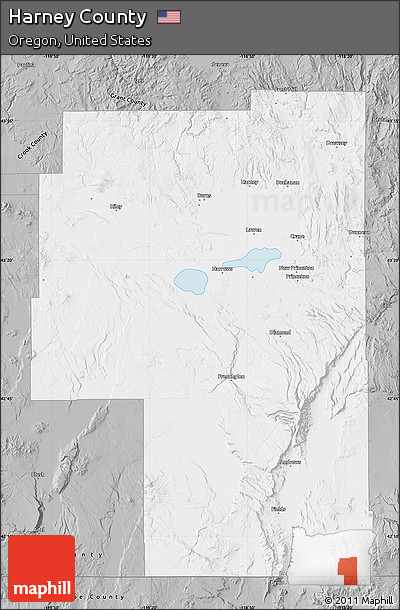 Gray Map of Harney County