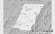 Gray Map of Cambria County