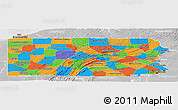 Political Panoramic Map of Pennsylvania, lighten, desaturated