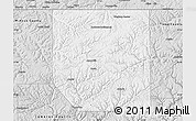 Silver Style Map of Potter County