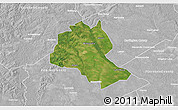 Satellite 3D Map of Lee County, lighten, desaturated
