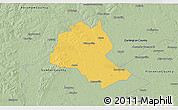 Savanna Style 3D Map of Lee County