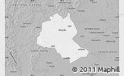 Gray Map of Lee County