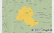 Savanna Style Map of Lee County