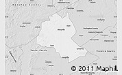 Silver Style Map of Lee County