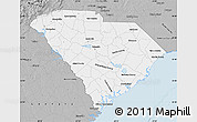 Gray Map of South Carolina