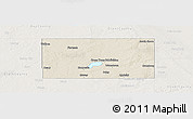 Shaded Relief Panoramic Map of Codington County, lighten