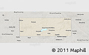 Shaded Relief Panoramic Map of Codington County, semi-desaturated