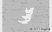 Gray Map of Lake County