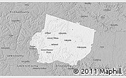Gray 3D Map of Maury County
