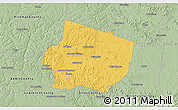 Savanna Style 3D Map of Maury County