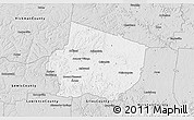 Silver Style 3D Map of Maury County