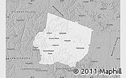 Gray Map of Maury County