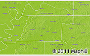 Physical 3D Map of Obion County