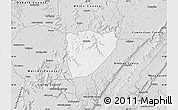 Silver Style Map of Van Buren County