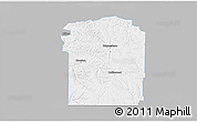 Gray 3D Map of Wayne County, single color outside