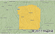 Savanna Style 3D Map of Wayne County
