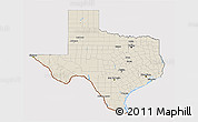 Shaded Relief 3D Map of Texas, cropped outside