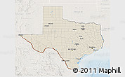 Shaded Relief 3D Map of Texas, lighten