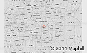 Silver Style Map of ZIP code 75204