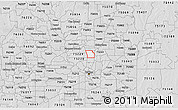 Silver Style 3D Map of ZIP code 75230