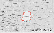 Silver Style 3D Map of ZIP code 75442