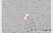 Gray Map of ZIP code 76207