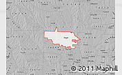 Gray Map of ZIP code 76266