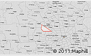Silver Style 3D Map of ZIP code 77041