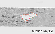 Gray Panoramic Map of ZIP code 78132