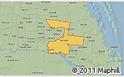 Savanna Style 3D Map of ZIP code 78586