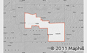 Gray Map of ZIP code 79009