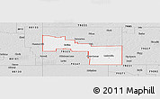 Silver Style Panoramic Map of ZIP code 79009