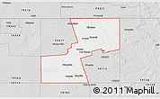 Silver Style 3D Map of ZIP code 79331