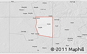 Silver Style 3D Map of ZIP code 79749
