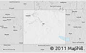 Silver Style 3D Map of Borden County