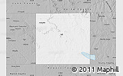 Gray Map of Borden County