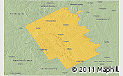 Savanna Style 3D Map of Bosque County