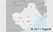 Gray 3D Map of Brazoria County