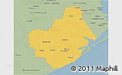 Savanna Style 3D Map of Brazoria County