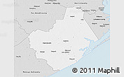 Silver Style 3D Map of Brazoria County