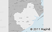 Gray Map of Brazoria County