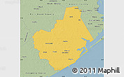 Savanna Style Map of Brazoria County