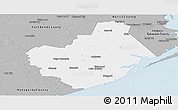 Gray Panoramic Map of Brazoria County