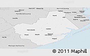 Silver Style Panoramic Map of Brazoria County