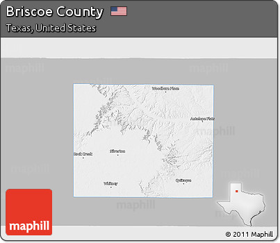 Gray 3D Map of Briscoe County, single color outside