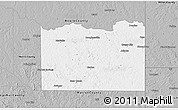 Gray 3D Map of Cass County